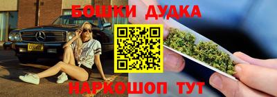 индика Моздок