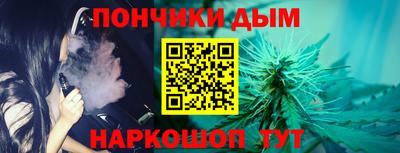 индика Моздок
