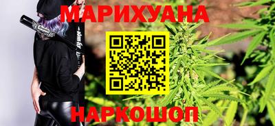 индика Моздок