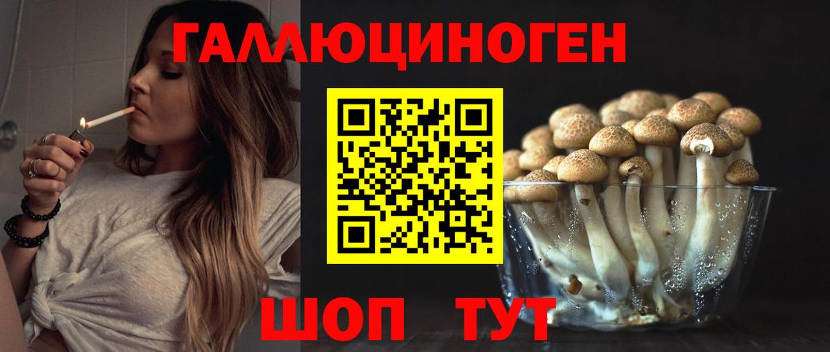 Галлюциногенные грибы Psilocybine cubensis Юрга