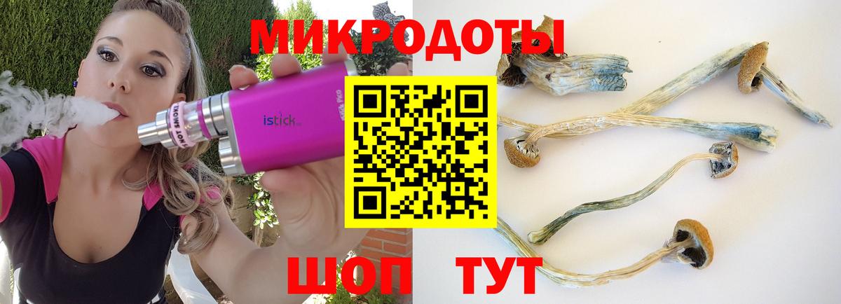 Галлюциногенные грибы GOLDEN TEACHER  Галлюциногенные грибы мицелий  даркнет сайт  Юрга  Вход с VPN 